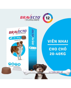 Bravecto Hộp 1 viên nhai vị thịt bò cho chó 20-40kg phòng & diệt trị ve, rận, bọ chét, ghẻ, xà mâu