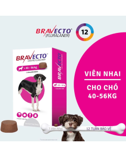 Bravecto Hộp 1 viên nhai vị thịt bò cho chó 40-56kg phòng & diệt trị ve, rận, bọ chét, ghẻ, xà mâu