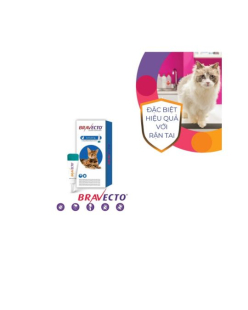 Bravecto Hộp 1 tuýp nhỏ gáy cho mèo 2.8-6.25kg trị ve tác dụng sau 8 giờ Thế Giới Bốn Chân Pet Shop