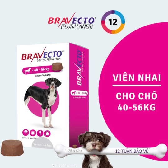 Bravecto Hộp 1 viên nhai vị thịt bò cho chó 40-56kg phòng & diệt trị ve, rận, bọ chét, ghẻ, xà mâu