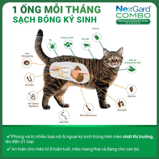 NexGard COMBO - Hộp 1 ống nhỏ gáy cho mèo size L 2.5-7.5kg phòng & trị nội, ngoại kí sinh