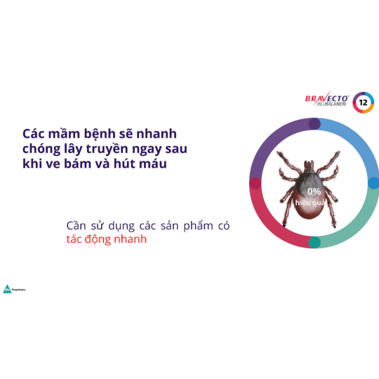 Bravecto Hộp 1 viên nhai vị thịt bò cho chó 4.5-10kg phòng & diệt, trị ve, rận, bọ chét, ghẻ, xà mâu