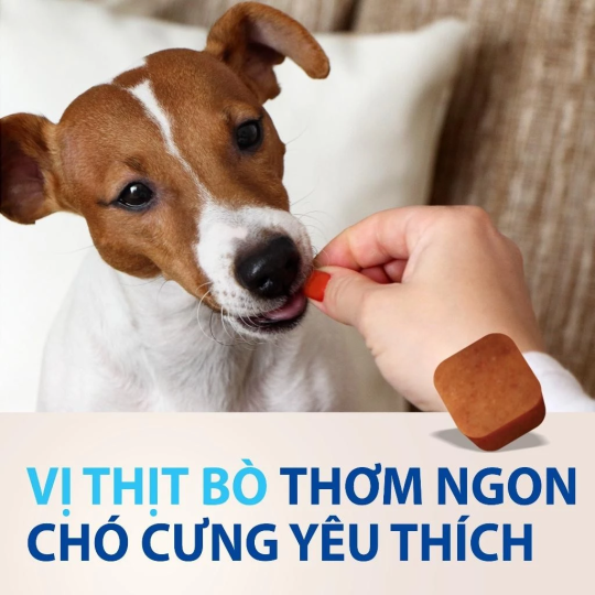 NexGard - Hộp 1 viên nhai vị thịt bò cho chó size S 2-4kg phòng và trị ve, rận, bọ chét, ghẻ