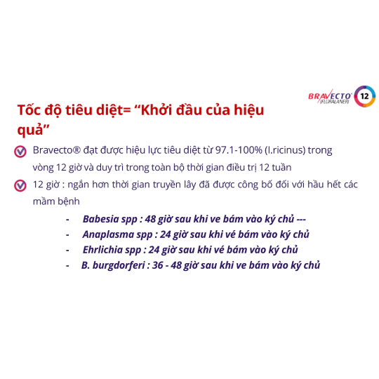 Bravecto Hộp 1 viên nhai vị thịt bò cho chó 2-56kg diệt trị ve, rận, bọ chét, ghẻ, xà mâu