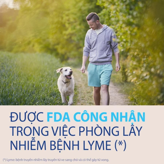 NexGard - Hộp 1 viên nhai vị thịt bò cho chó size S 2-4kg phòng và trị ve, rận, bọ chét, ghẻ