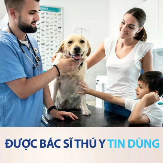 NexGard - Hộp 1 viên nhai vị thịt bò cho chó size S 2-4kg phòng và trị ve, rận, bọ chét, ghẻ