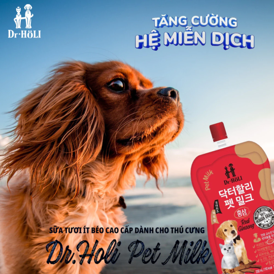 Dr. Holi Pet Milk Ginseng Sữa cho chó và mèo vị nhân sâm gói 200ml