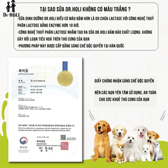 Dr. Holi Pet Milk sữa cho chó và mèo mọi giai đoạn gói 180ml probiotic vị Xoài