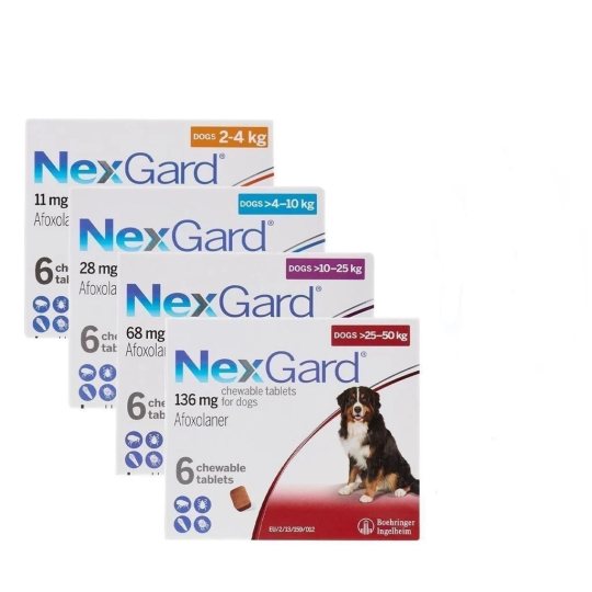 NexGard - Hộp 1 viên nhai mềm vị thịt bò dành cho chó 2-50kg XS M L phòng & trị ve, rận, bọ chét, ghẻ demodex, sarcoptes