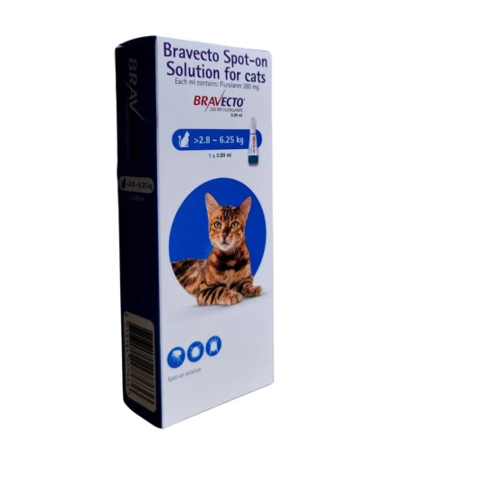 Bravecto Hộp 1 tuýp nhỏ gáy cho mèo 2.8-6.25kg trị ve tác dụng sau 8 giờ Thế Giới Bốn Chân Pet Shop