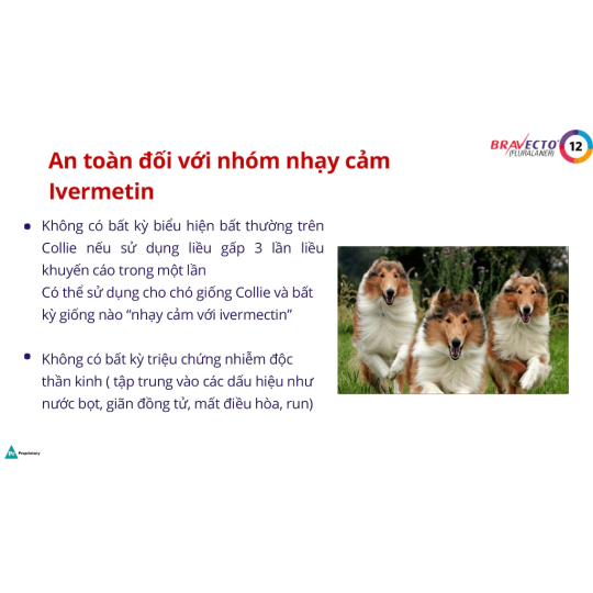 Bravecto Hộp 1 viên nhai vị thịt bò cho chó 2-56kg diệt trị ve, rận, bọ chét, ghẻ, xà mâu