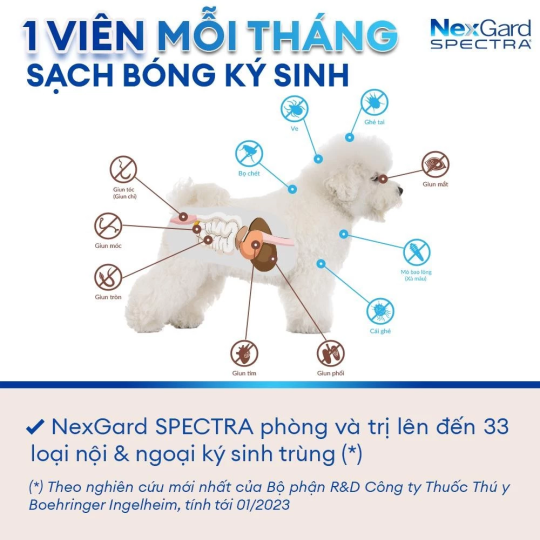 NexGard SPECTRA - Hộp 1 viên nhaivị thịt bò cho chó 3.5-7kg phòng & trị ve, rận, bọ chét, ghẻ Demodex, Sarcoptes, giun