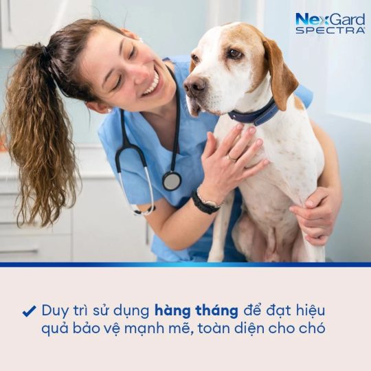 NexGard SPECTRA - Hộp 1 viên nhaivị thịt bò cho chó 3.5-7kg phòng & trị ve, rận, bọ chét, ghẻ Demodex, Sarcoptes, giun