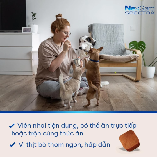 NexGard SPECTRA - Hộp 1 viên nhaivị thịt bò cho chó 3.5-7kg phòng & trị ve, rận, bọ chét, ghẻ Demodex, Sarcoptes, giun